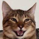 cat_happy Discord emoji