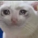Catsad