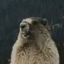 AAAAAH