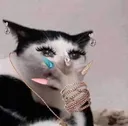 ohnono ohnono