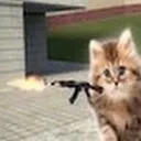 Catblicky