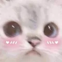 cat567 Discord Emoji