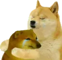 dog_hug