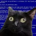 cat_failure
