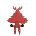 shrimpodance