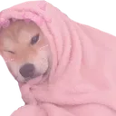 PuppoSnuggo