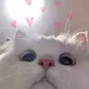 __ __