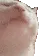 catJAM