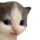 7303hehe Discord sticker | Roblox LatinoAmerica⭐