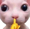 2030bingusshh custom emote - Roblox LatinoAmerica⭐