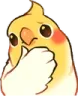 birbthinking