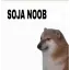 SBG_sojanoob