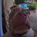bro bro