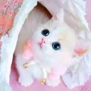 zZ_cat_shock
