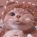 zZ_cat_wink zZ_cat_wink