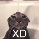 XD