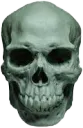 skull11