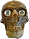 skull15