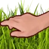 touch_grass