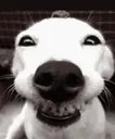 mfw_kam_made_an_onlyfans