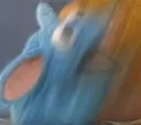 shake