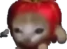 gato