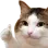 thumbsupcat