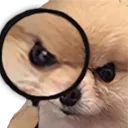 detectiveboi detectiveboi