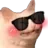yes