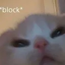 Block_kitty Discord Emoji