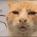 Huh