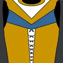 torso
