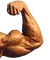 1rightflex 1rightflex