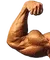 1leftflex