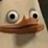z_stare