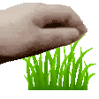 pet_grass Discord emoji