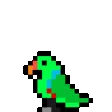 birbuhSpin