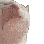 cat_vibe