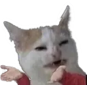 whatisthis_cs