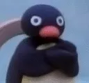 penguinmad
