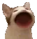 papapa