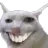 catXD