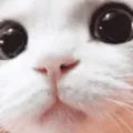 curious3 curious3