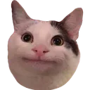 Politecat politecat Discord Emoji