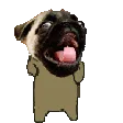 PugPls