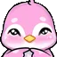 a46_PengyCute_XZoneOnlyDNS