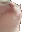 catjam