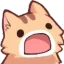catgasp