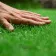 touchgrass