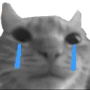 bruh_sad Discord Emoji